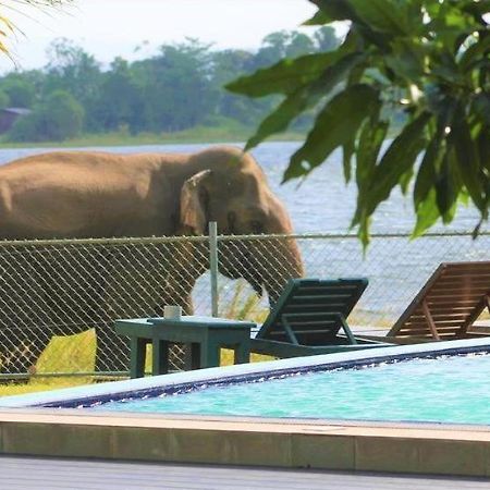 Hotel Lake Park Polonnaruwa Exteriér fotografie