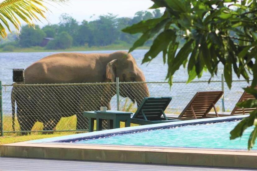 Hotel Lake Park Polonnaruwa Exteriér fotografie